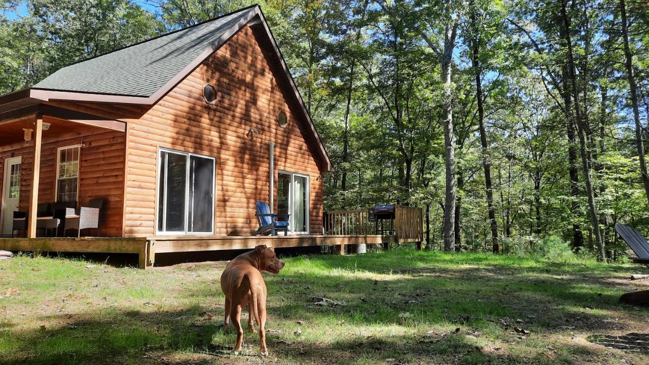 Remote Cabin Wv Retreat-Escape From The Norm Villa Mathias Exterior photo